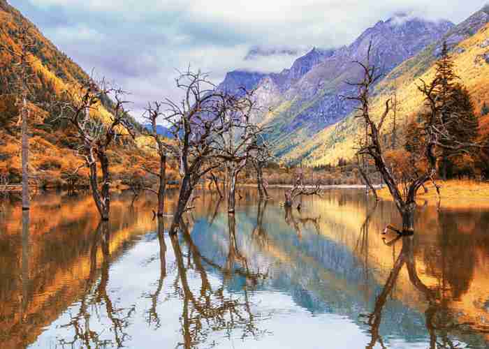 成都星旅租车，我为什么愿意为这家公司的不*买单？-第2张图片-成都租车公司